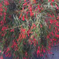 фото из отзыва ID 1808657