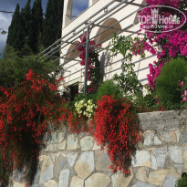 фото из отзыва ID 1808657