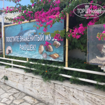 фото из отзыва ID 1808657