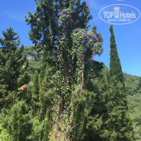 фото из отзыва ID 1808657