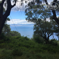 фото из отзыва ID 1808657