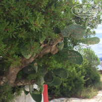 фото из отзыва ID 1808657