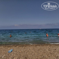 фото из отзыва ID 1808707