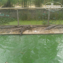 фото из отзыва ID 1808728