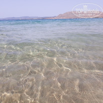 фото из отзыва ID 1808746