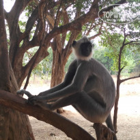 фото из отзыва ID 1809276