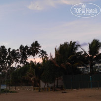 фото из отзыва ID 1809276