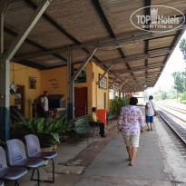 фото из отзыва ID 1809276