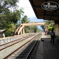 фото из отзыва ID 1809276