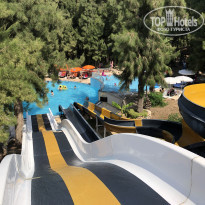 фото из отзыва ID 1809278