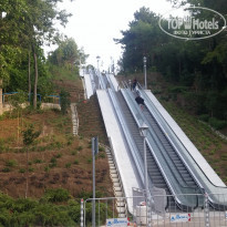 фото из отзыва ID 1809368