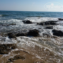 фото из отзыва ID 1809380