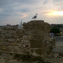 фото из отзыва ID 1809340