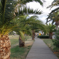 фото из отзыва ID 1809533