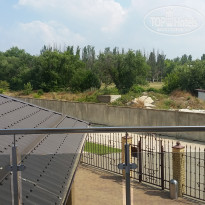 фото из отзыва ID 1809784