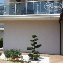 фото из отзыва ID 1809784