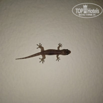 фото из отзыва ID 1809889