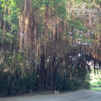 фото из отзыва ID 1809889