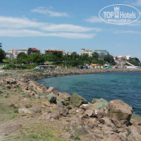 фото из отзыва ID 1809469