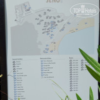 фото из отзыва ID 1807918