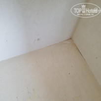 фото из отзыва ID 1808531