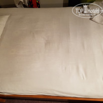 фото из отзыва ID 1808531