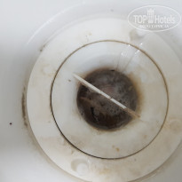 фото из отзыва ID 1808531