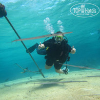 фото из отзыва ID 1801416