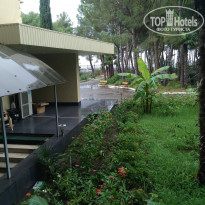 фото из отзыва ID 1802051