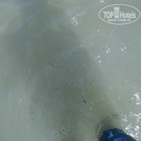 фото из отзыва ID 1805965