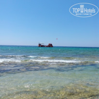 фото из отзыва ID 1809972