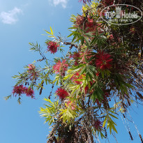 фото из отзыва ID 1805207