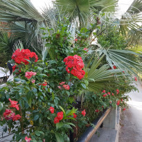 фото из отзыва ID 1805207