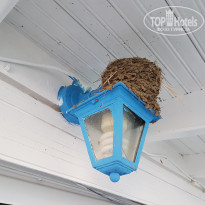 фото из отзыва ID 1805207