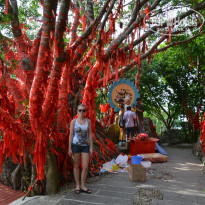 фото из отзыва ID 1804338