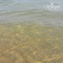 фото из отзыва ID 1809784