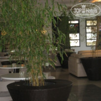 фото из отзыва ID 181107