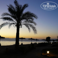 фото из отзыва ID 181247