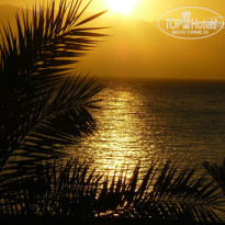 фото из отзыва ID 181247