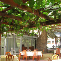 фото из отзыва ID 181321