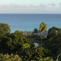 фото из отзыва ID 181334