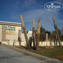 фото из отзыва ID 181876