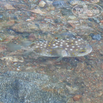 фото из отзыва ID 181893