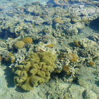 фото из отзыва ID 181893