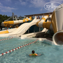 фото из отзыва ID 1810034