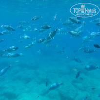 фото из отзыва ID 1810034