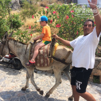 фото из отзыва ID 1810034