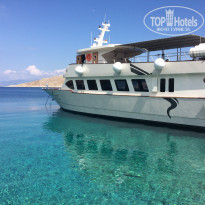 фото из отзыва ID 1810034