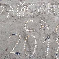 фото из отзыва ID 1810071