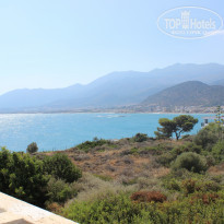 фото из отзыва ID 1810123